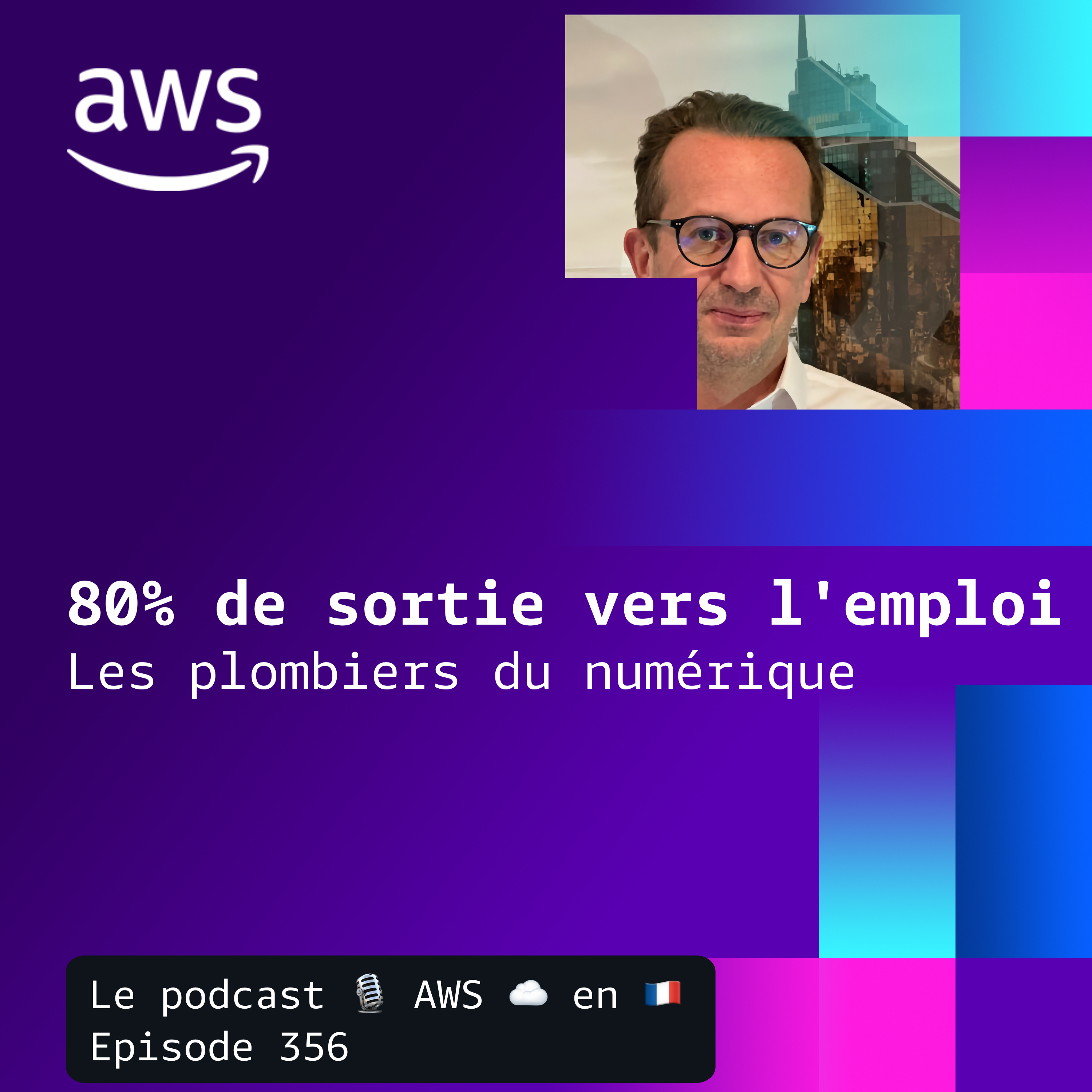 80 % de sorties vers l'emploi : l'insertion par les infrastructures numériques episode artwork