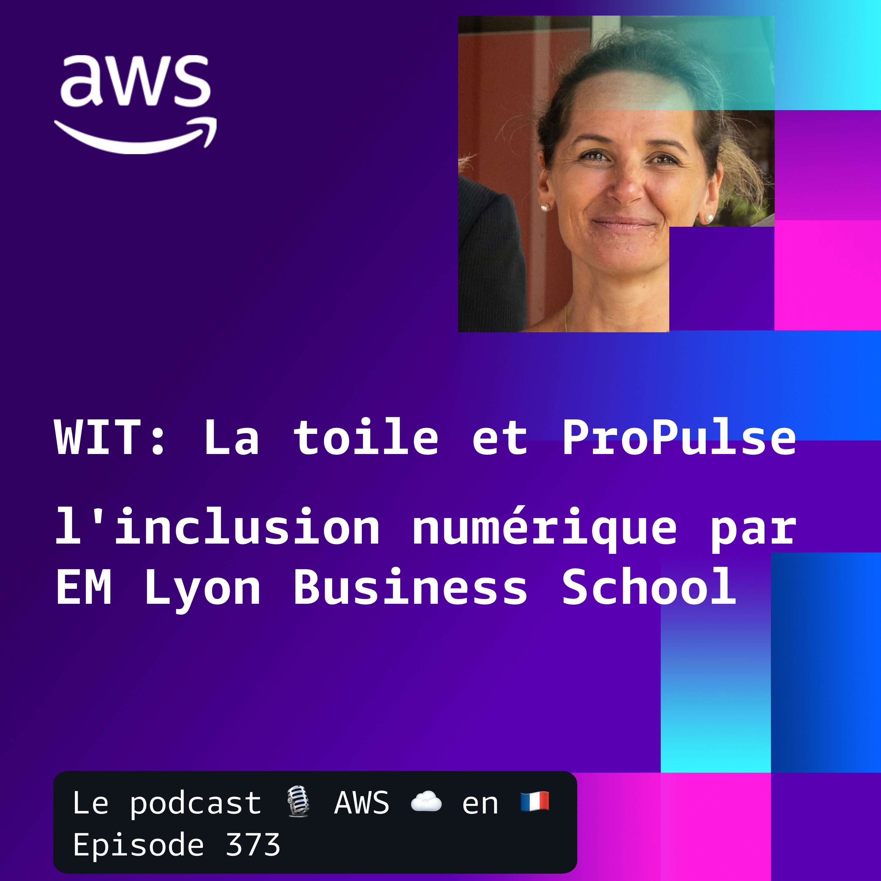 WIT : La toile et ProPulse, l'inclusion numérique par EM Lyon episode artwork